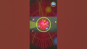 What super powers could CERN give you? #shorts