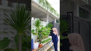 Taman rumah subsidi bergaya minimalis Taman rumah subsidi bergaya minimalis