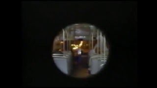 Pústula - Dj Pata & Mr Pig - Orto