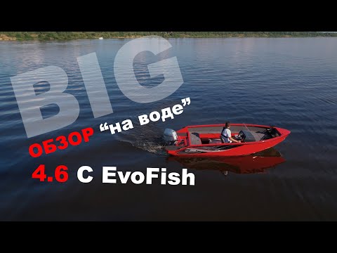 BIG ОБЗОР 4.6 C EvoFish часть 2 