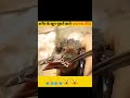 ##😢😞 खतरनाक किडो से बचाई चिड़िया की जान 😮##short #😓😓short imotional video#short video😱😱😲😲
