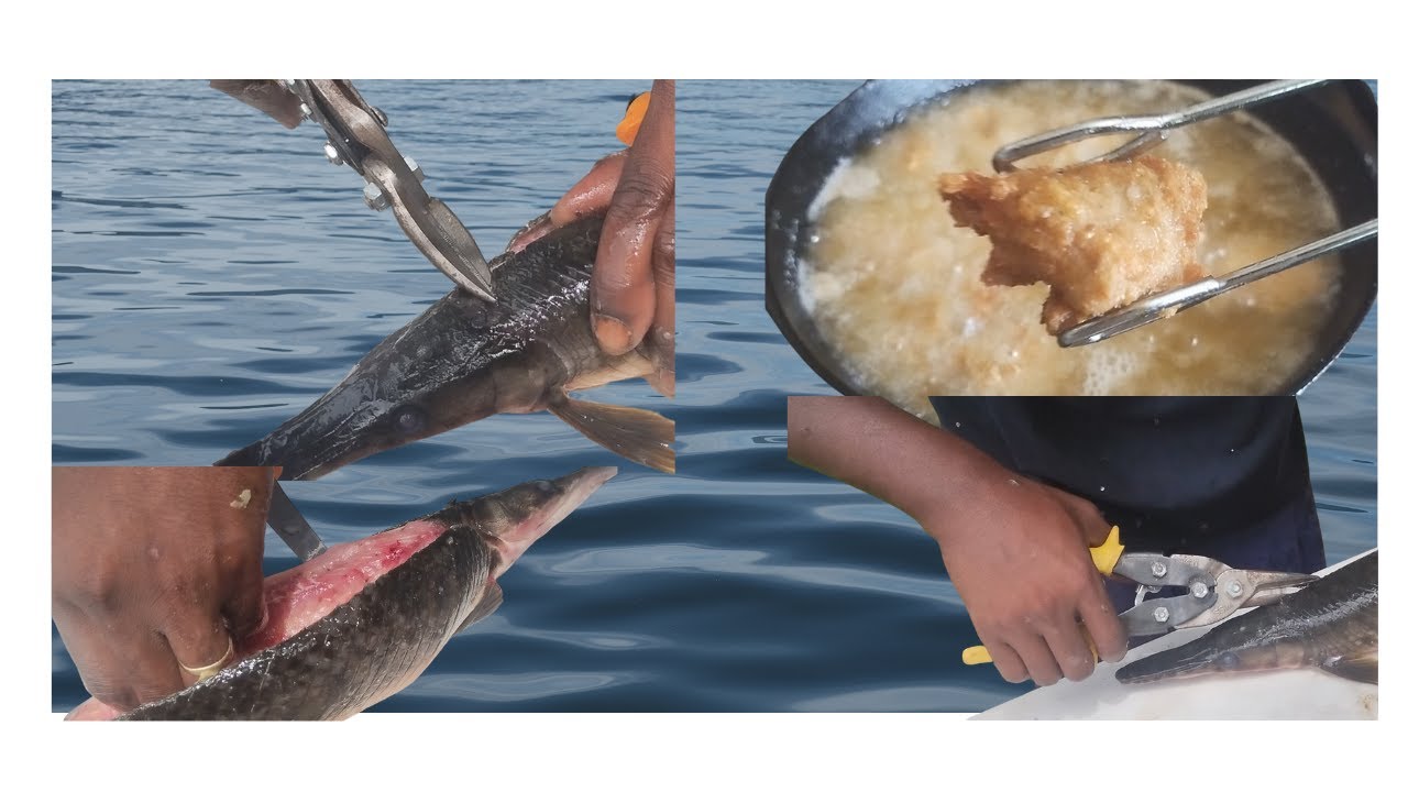 FISH FRY FRIDAY! GARFISH CLEAN & COOK #fishfryfriday #garfish # ...