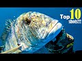 PESCA SUB Top 10 SHOTS Compilation