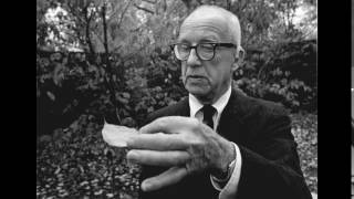 Buckminster Fuller: Art Net Lecture