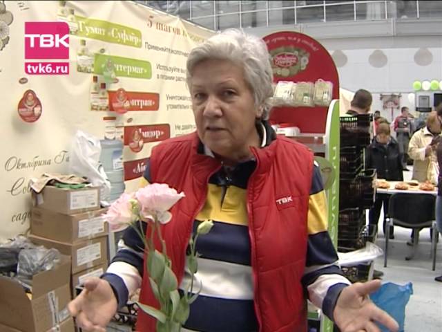Советы тети Тани. Как разводить эустому?