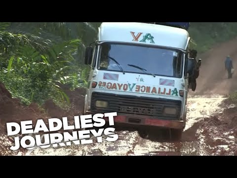 Deadliest Journeys Cameroon, Birds and Lizards