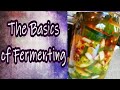 Basics of Fermenting