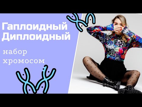 Гаплоидный, диплоидный набор хромосом. Аутосомы. Половые хромосомы.