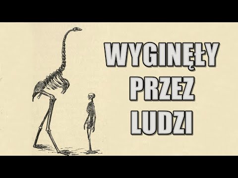 Wideo: Ochrona zwierząt. Rola rezerwatów przyrody i niewoli