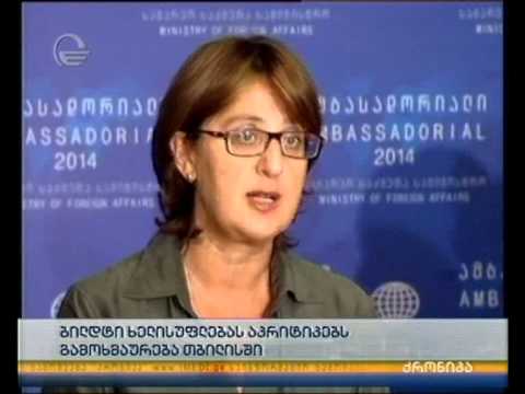 ბილდტი ხელისუდლებას აკრიტიკებს - გამოხმაურება თბილისში