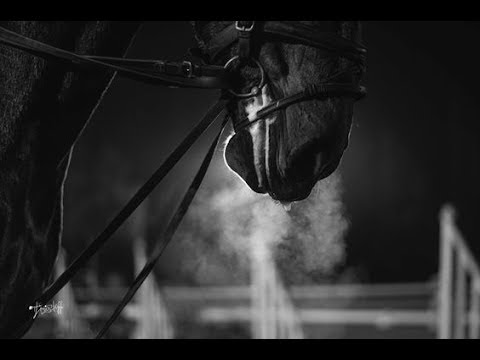 Video: The Dangers Of Equestrian Sports