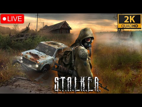 STALKER Тень чернобыля (Без модов) - ApollоGamer 2К СТРИМ / Live Stream 3060 Ti
