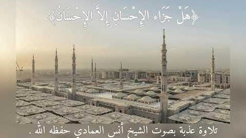 (هَلْ جَزَاءُ الْإِحْسَانِ إِلَّا الْإِحْسَانُ).. تلاوة جميلة بصوت الشيخ أنس العمادي حفظه الله .