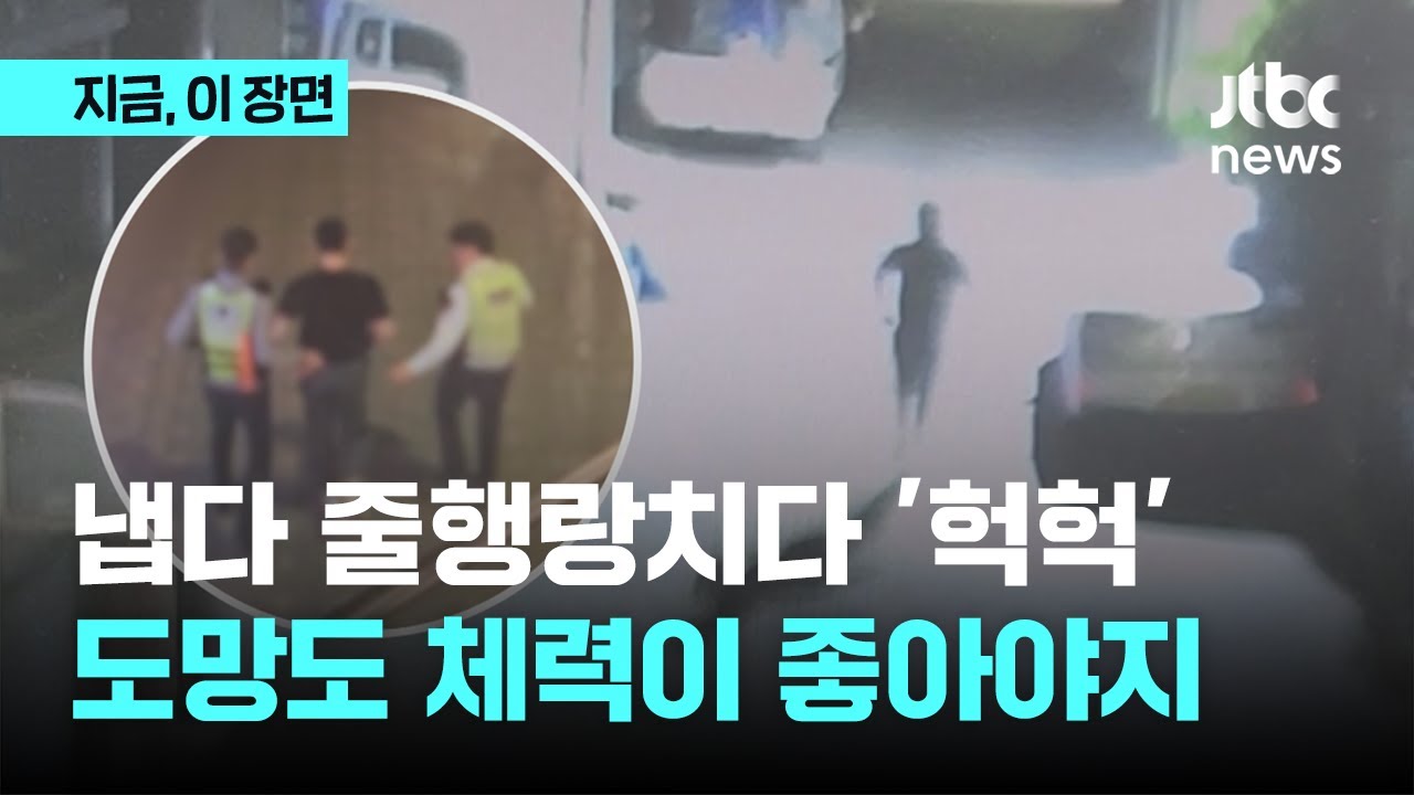 냅다 줄행랑치다 '헉헉'…도망도 체력이 좋아야지|지금 이 장면 - YouTube