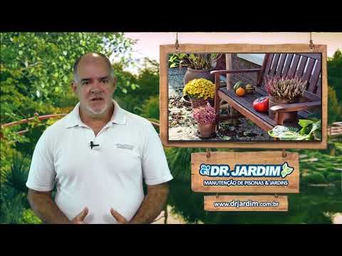 Vídeo: Dicas de jardinagem no outono: como preparar seu jardim para o outono