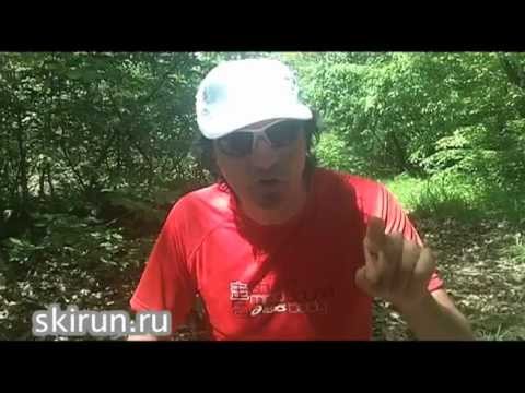 углеводное питание для похудения углеводное питание для похудения