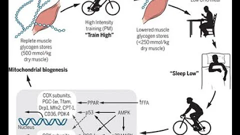 Chrono-nutrition...  Timing Matters - Prof. John H...