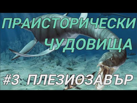 Видео: Творчески килими за дома. 