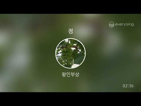 [everysing] 정