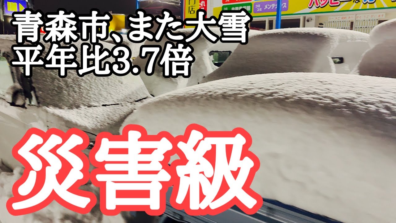 【緊急配信】また大雪…青森市の災害級大雪、新青森駅から青森駅まで歩いて紹介
