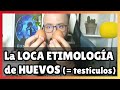 La *inverosímil* ETIMOLOGÍA de «HUEVOS» 🥚🥚