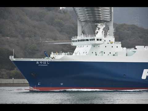 琉球海運「あやはし」因島大橋を通過して博多へ　令和8年3月2日