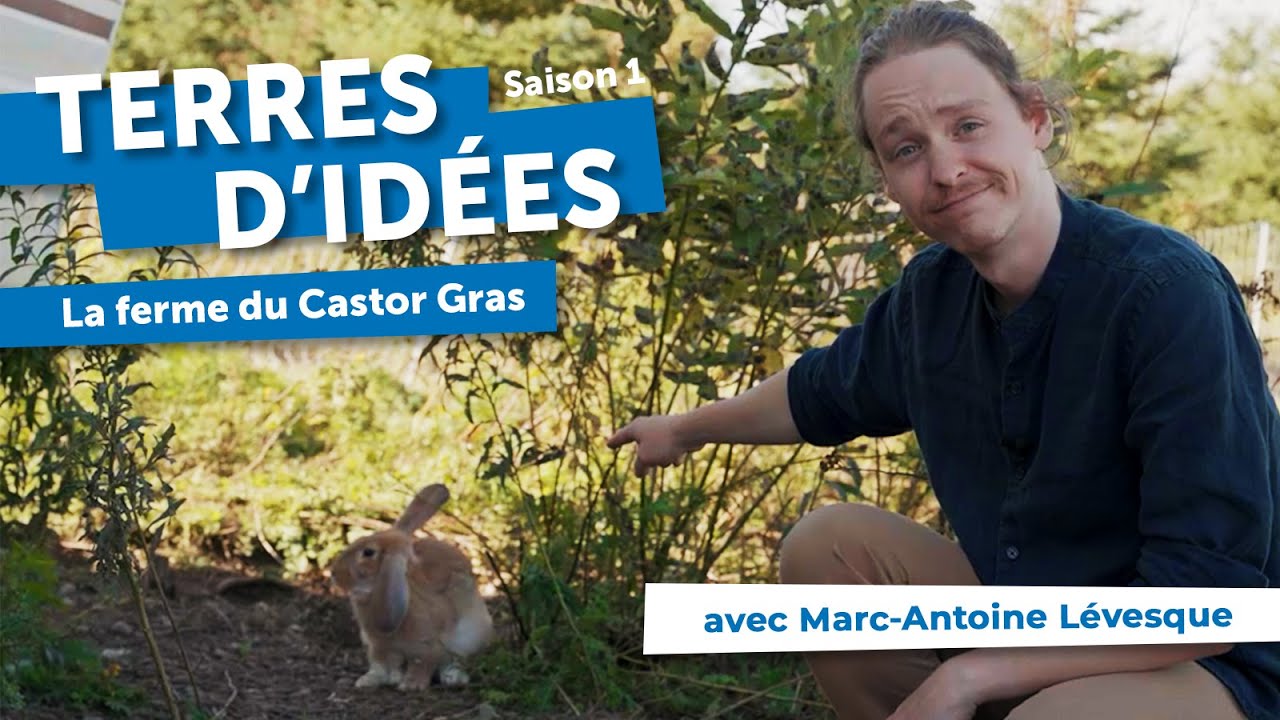 Terres d'idées La Ferme du Castor gras YouTube