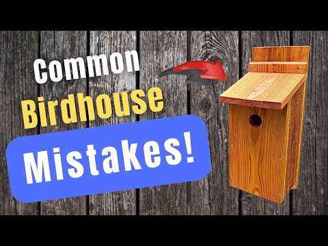 Common Birdhouse Mistakes and How to Fix Them!