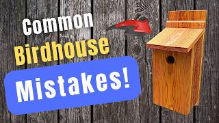 Common Birdhouse Mistakes and How to Fix Them!