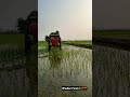#johndeere #5103 #tractor #airless #spray #tyre #farming #love #farmer #khetibadi #agriculture
