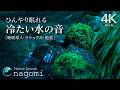 【水の音/睡眠】ひんやり眠れる「冷たい水の音」〜涼しい水の音でぐっすり|睡眠・勉強・癒し・リラックス|水の音のみ