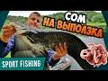 ЛОВЛЯ СОМА НА ДОНКИ НОЧЬЮ! Рыбалка на СОМА летом! Уха из СОМА на костре!