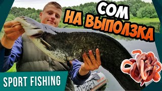 видео: ЛОВЛЯ СОМА НА ДОНКИ НОЧЬЮ! Рыбалка на СОМА летом! Уха из СОМА на костре! картинка: ЛОВЛЯ СОМА НА ДОНКИ НОЧЬЮ! Рыбалка на СОМА летом! Уха из СОМА на костре!