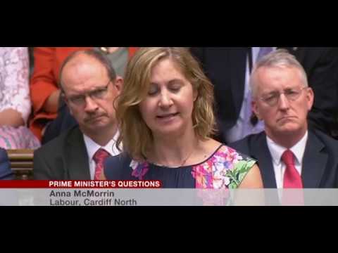 Anna McMorrin MP PMQ Plastic Pollution