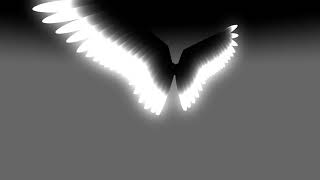 Wings test Wings test