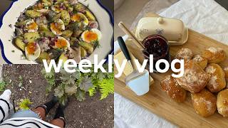 a week in my life: gardening update + baking