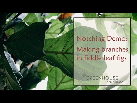 Notching Demo: Making