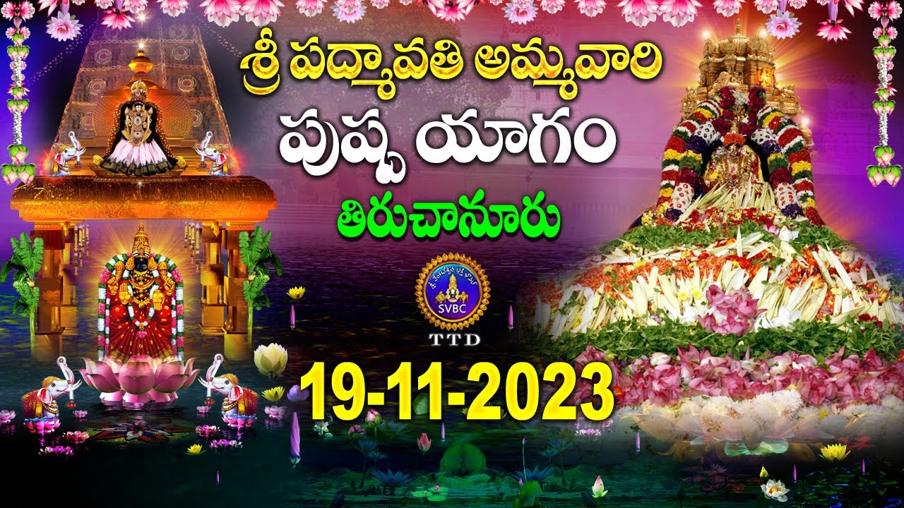 Sri Padmavathi Ammavari Pushpayagam || Tiruchannor ||  19-11-2023 || SVBC TTD
