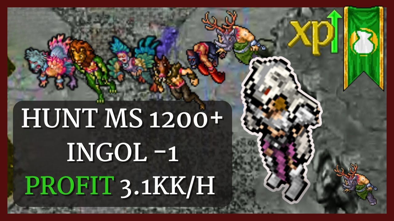 Tibia Hunt MS 1200+ | INGOL -1 | 8.2KK/H RAW | 3.1KK/H PROFIT