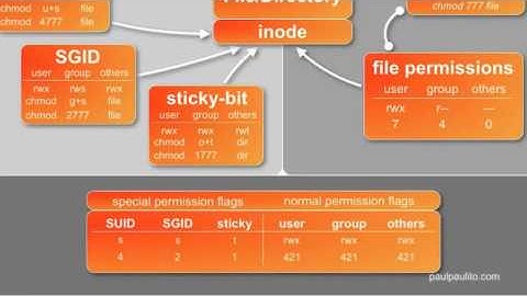 40  LPI 101 104 5 Manejo de asignación de permisos Parte 1   Incompleto