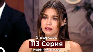 Зимородок 113 Cерия (Короткий Эпизод) (Русский Дубляж)