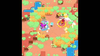 Shelly Doesnt Want Any Money