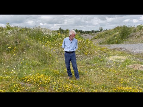 ვიდეო: რა არის Birdsfoot Trefoil - შეიტყვეთ Birdsfoot Trefoil მცენარის შესახებ ინფორმაცია