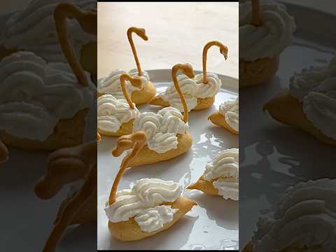 choux swans in