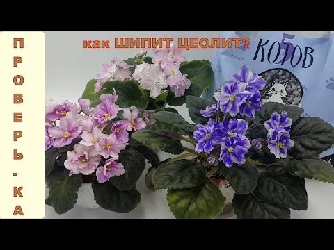 Цеолит, диатомит или кошкин хвост? Гидропроба наполнителей