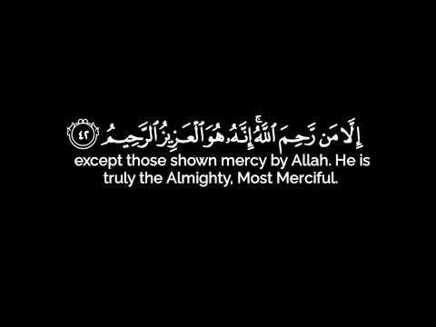 كروما شاشه سوداء قرآن كريم تلاوة من سورة الدخان القارئ أحمد مشهور 