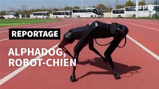 L'AlphaDog, un robotchien qui court plus vite que son ombre | AFP