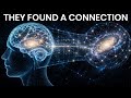 Scientists Discovered a Shocking Link Between the Brain and the Universe | Science Explainer YT