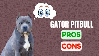 Are Gator Mouth Pitbulls the Ultimate Companion OR....?