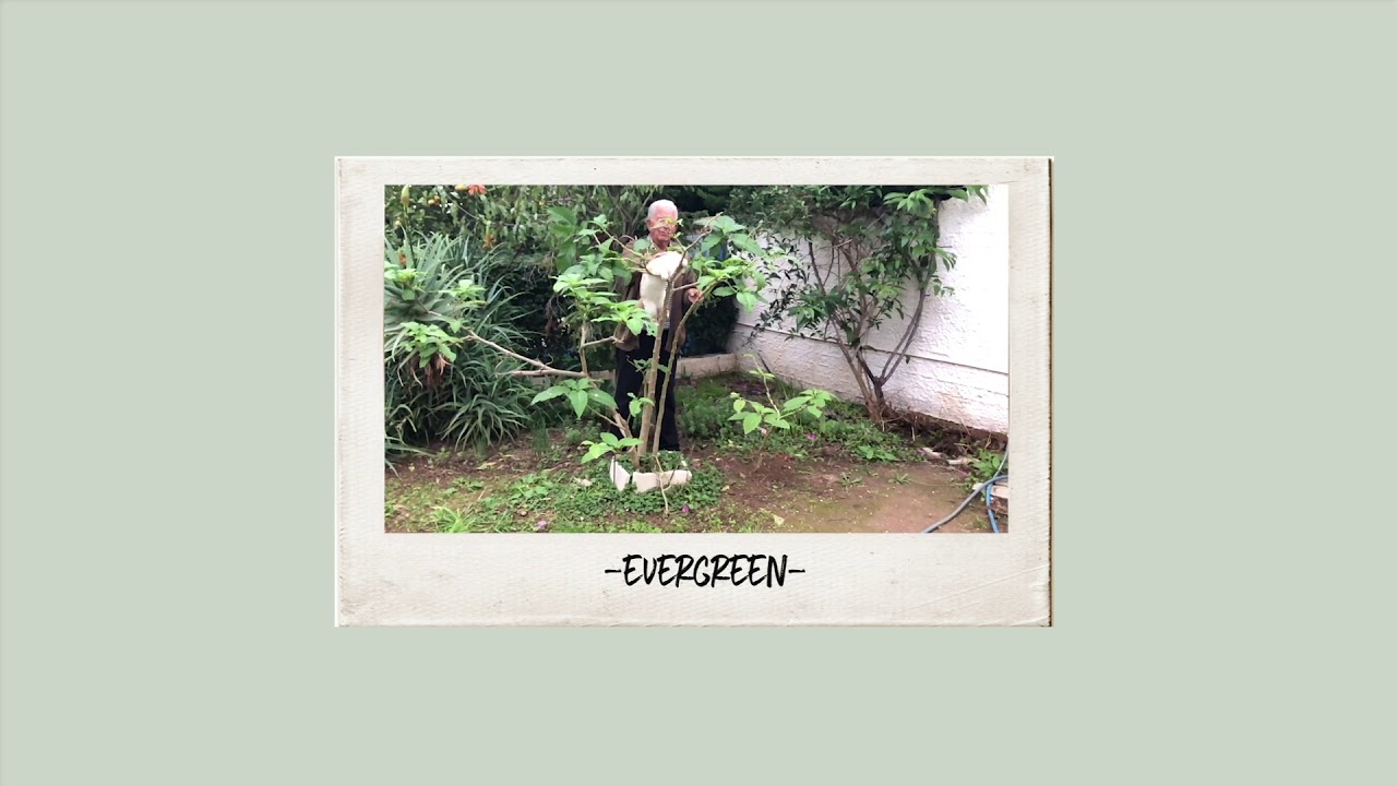 Watch Evergreen | Ermis on YouTube Watch Evergreen | Ermis on YouTube
